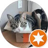 Google User {{ review.author_name }}