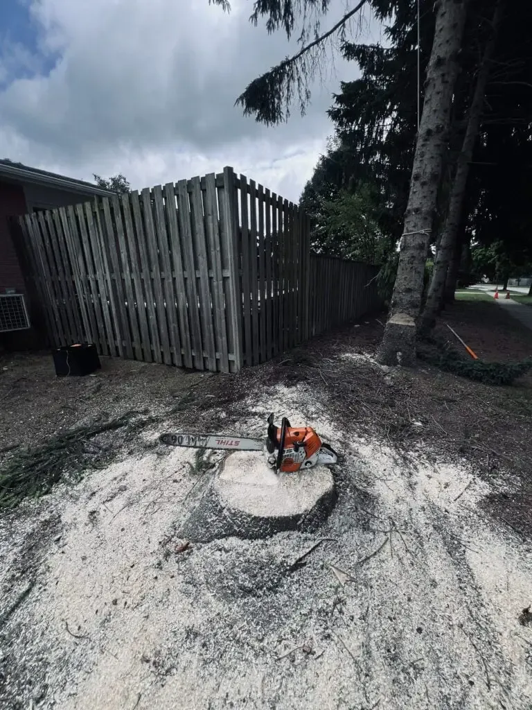 GreenCare performing Stump Removal Services